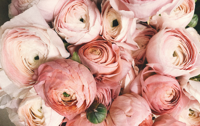 Несподівано: що купують українці до дня матері